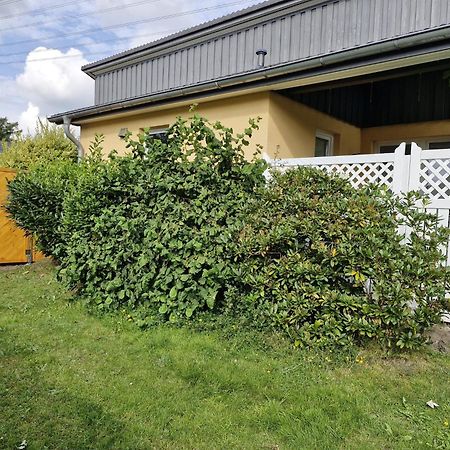 Halstenbek Komfortables Einzelhaus Mit Garten מראה חיצוני תמונה